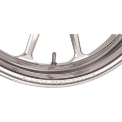 Slyfox Track Pro - Front - Dual Disc/Without Abs - Machined - 19X3