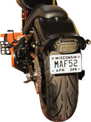 Custom Dynamics Probeam® Taillight - With License Plate Illumination Window - Smoke |