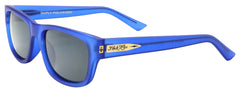Black Flys Eyewear Mc Fly Sunglasses
