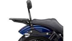 Cobra Detachable Backrest Kit - 14" (Round) - Black - Dyna