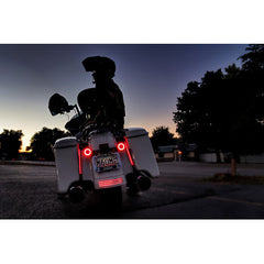 Custom Dynamics 8" Plug & Play Red Plasma Rods™