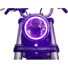 Custom Dynamics Proglow™ 5.75" Led Headlamp With Color Changing Halo