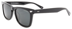 Black Flys Eyewear Fly Harvey Sunglasses