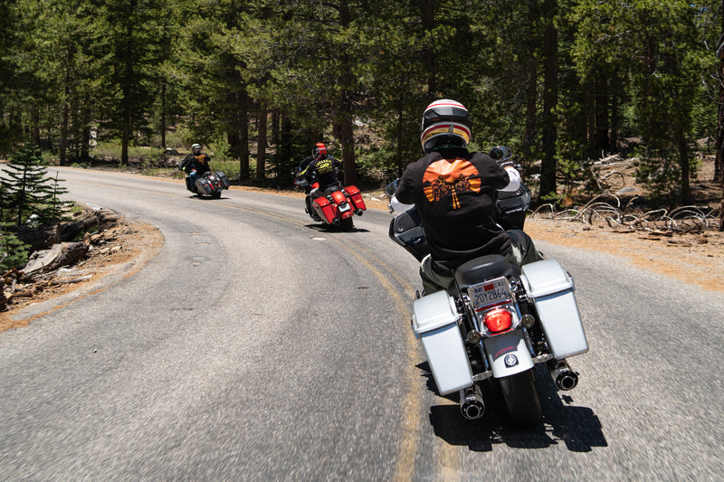 Sequoias, Trail of 100 Giants, and the Kern River!