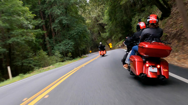 Pacific Coast Run - Exploring the Redwoods - Day 3