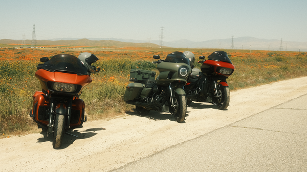 California Poppy Reserve | Kern Loop Ride | Day 1