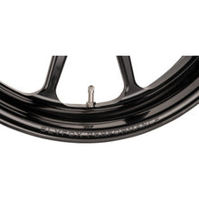 Slyfox Track Pro - Front - Dual Disc/Without Abs - Black - 19X3
