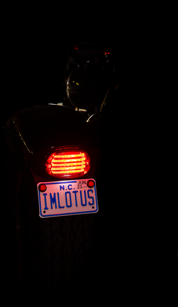 ProBEAM® Taillight - with License Plate Illumination Window - Smoke | Custom Dynamics