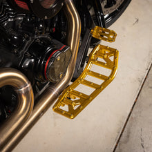 Aggressor Floorboards | Bagger (ALL COLORS)