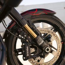 Thrashin Inverted Bagger Fork Guard - Gloss Twill Weave Carbon