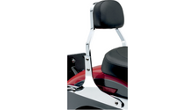 Cobra USA Mini Sissy Bar - FLST/FXST