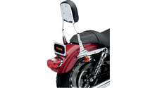 Cobra USA Standard Sissy Bar - FLSTF/FXST