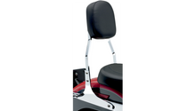 Cobra USA Standard Sissy Bar - FLSTF/FXST