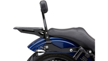 Cobra Detachable Backrest Kit - 14" (Round) - Black - Dyna