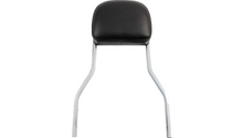 Cobra USA Short Sissy Bar - 14" - FLSTC/N