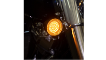 Custom Dynamics Genesis® 4 Solid Amber Front Turn Signal Insert - LED - 1157