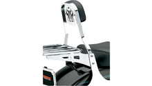 Cobra USA Short Sissy Bar - FLSTF/FXST