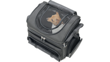 Saddlemen Pc3200C Convertible Pet Carrier